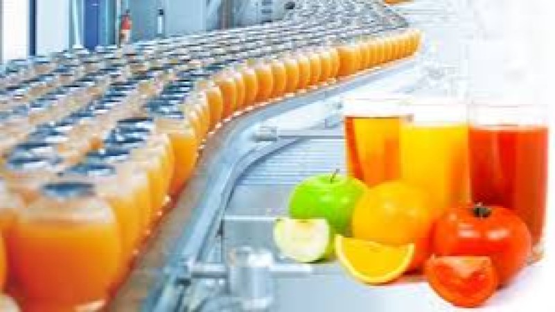 Enzyme Technology in Fruit and Vegetable Processing Training Course