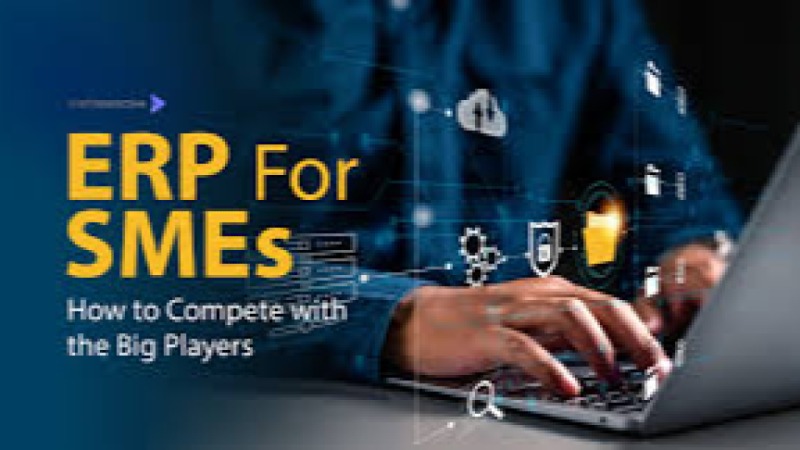 ERP for Small and Medium Enterprises (SME) Training Course