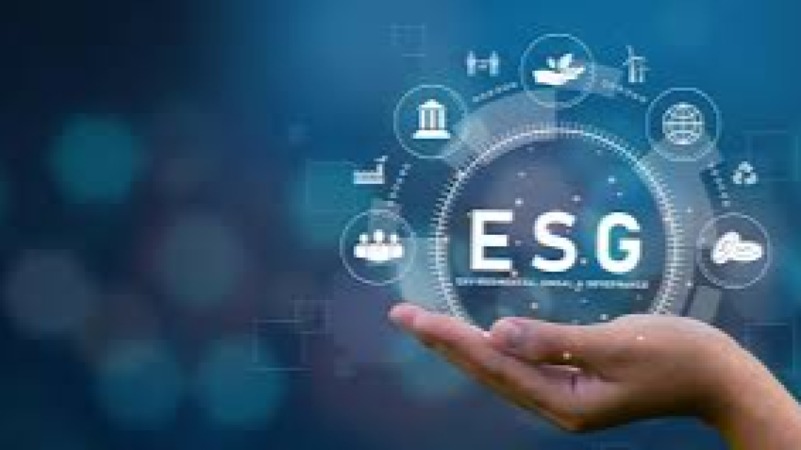 ESG for Project Professionals Training Course