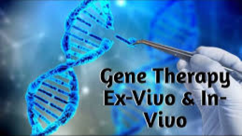 Ex Vivo vs In Vivo Gene Therapy Strategies Training Course