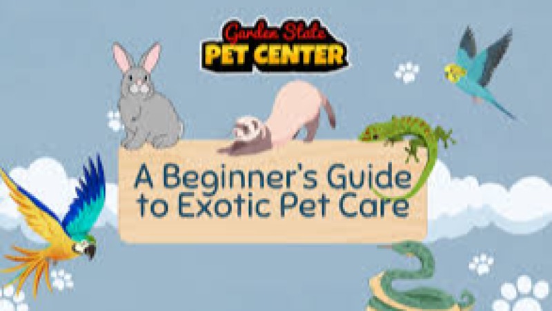 Exotic Pet Care Basics Training Course