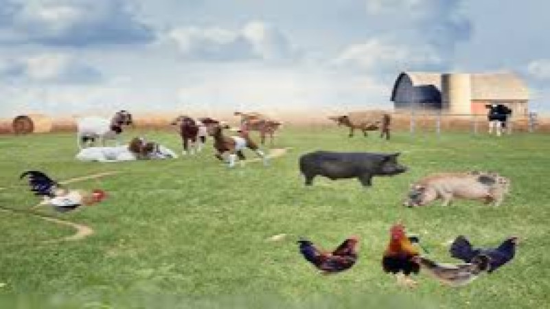 Field Biosecurity for Livestock Training Course