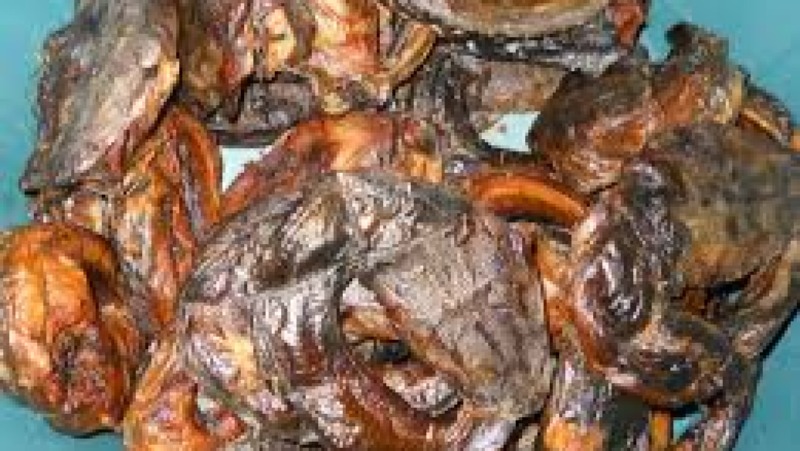 Fish Processing & Value Addition Training Course