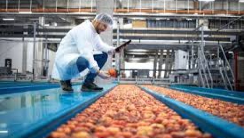 Food Manufacturing Project Management Training Course