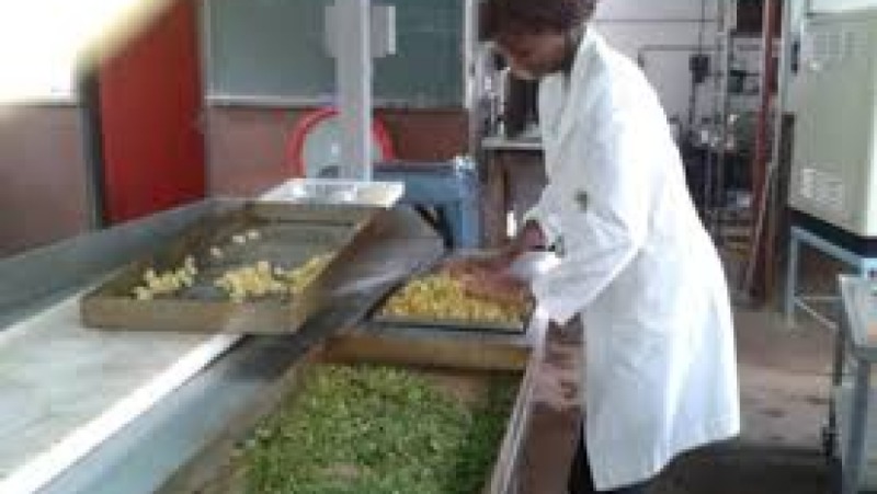 Food Process Engineering Principles and Calculations Training Course