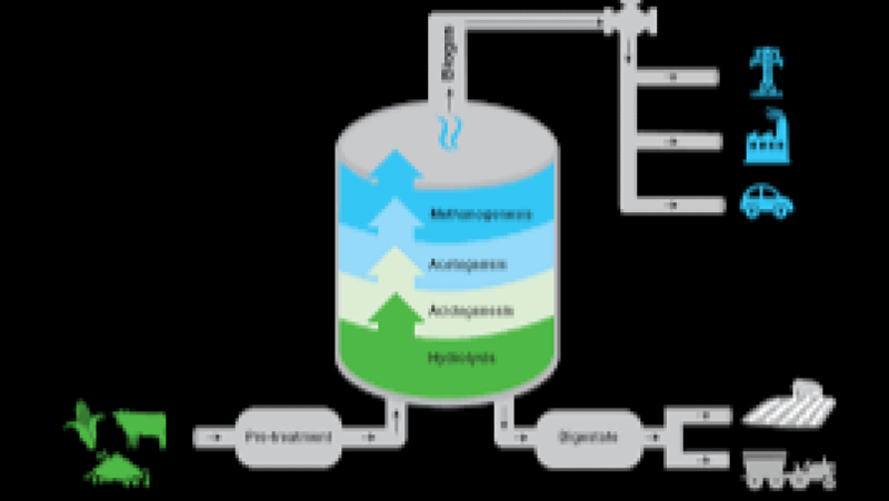Food Waste-to-Energy (Anaerobic Digestion) Systems Training Course