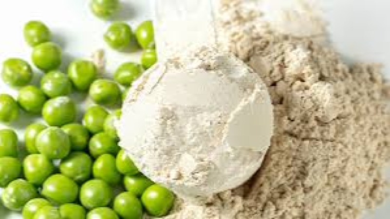 Formulation and Processing of Plant-Based Proteins Training Course