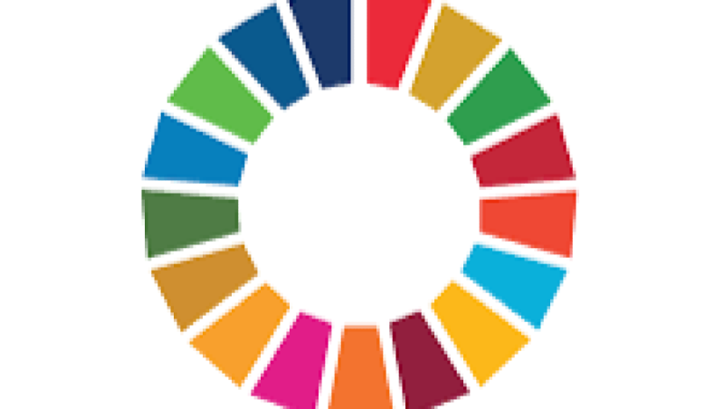 Gender and Sustainable Development Goals Training Course
