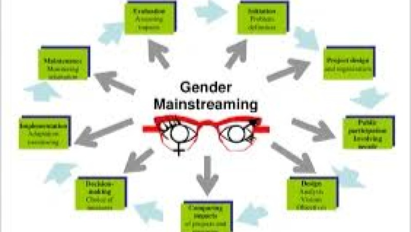 Gender Mainstreaming in Government Training Course