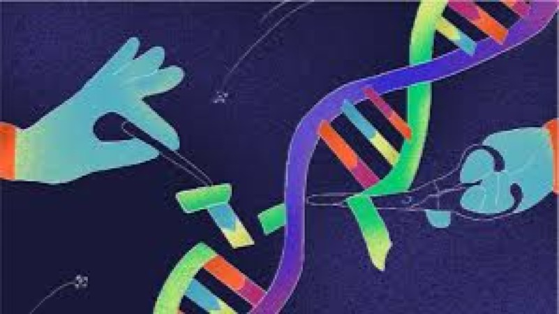 Genetics & Genome Editing Basics Training Course