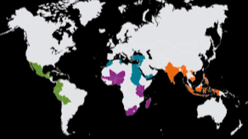Geographic Expansion Strategy for MFIs Training Course