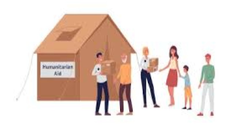 Healthcare Delivery Projects in Crisis Training Course