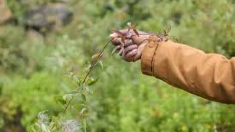 Indigenous Community Development Training Course