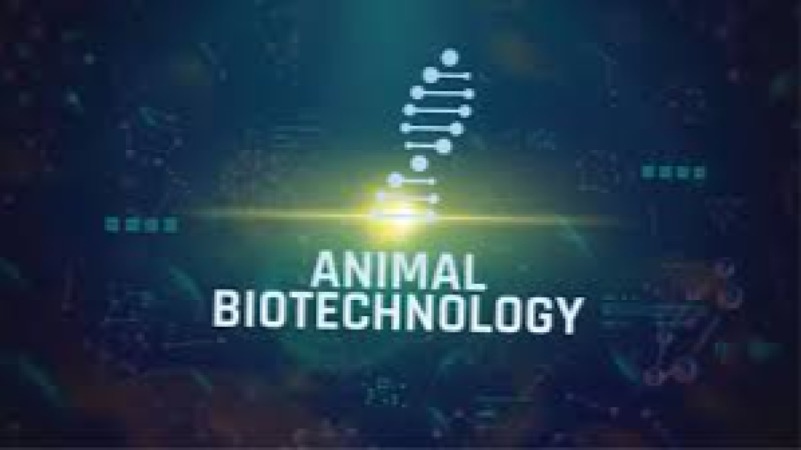 Intellectual Property in Animal Biotechnology Training Course