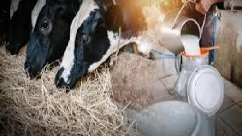 Intensive Livestock Production Systems Training Course