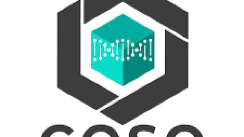 Internal Controls and SOX/COSO Compliance Auditing Training Course