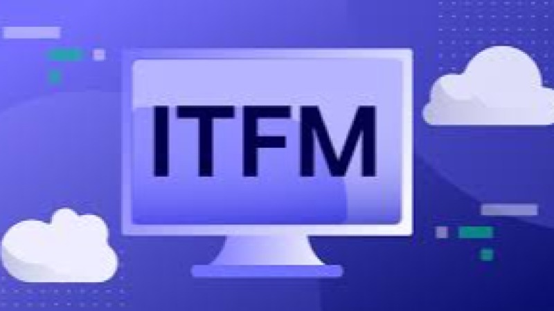 IT Financial Management for ERP Investments Training Course