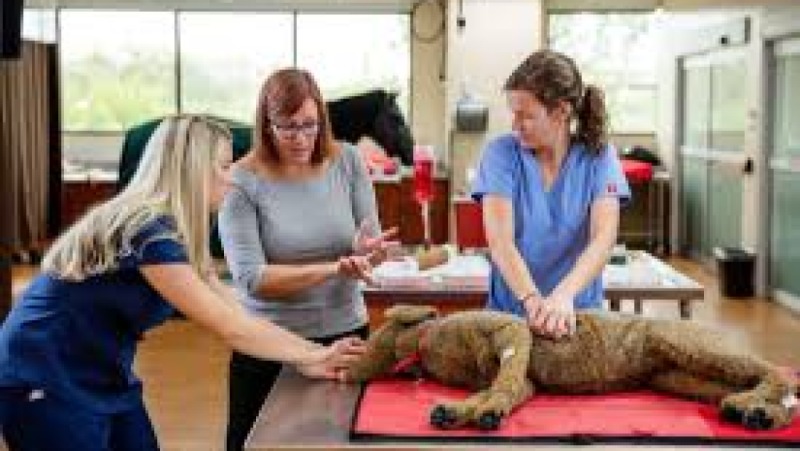Laboratory Techniques for Veterinary Practice Training Course