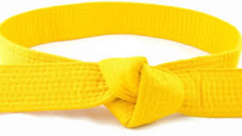 Lean Six Sigma Yellow Belt for project managers Training Course