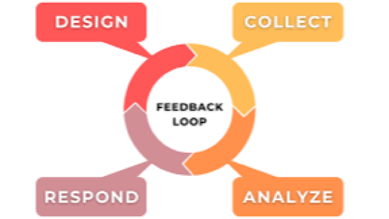 Learning Loops and Feedback Systems in M&E Training Course