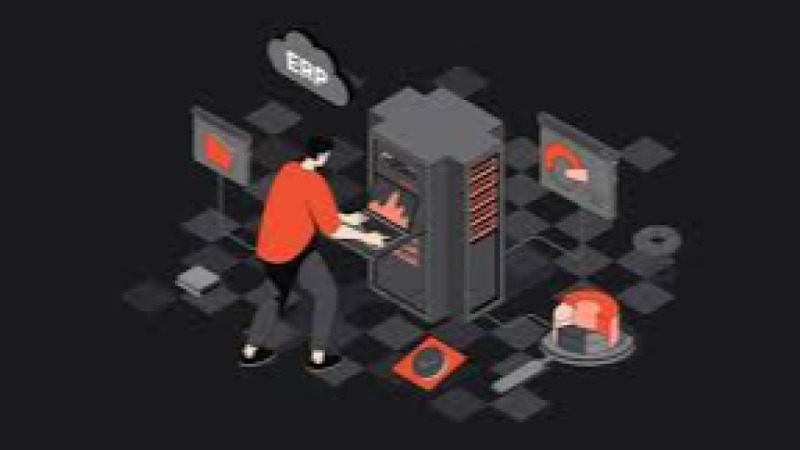 Legacy System Extraction Strategies for ERP Training Course