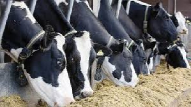 Livestock Breeding Management Training Course