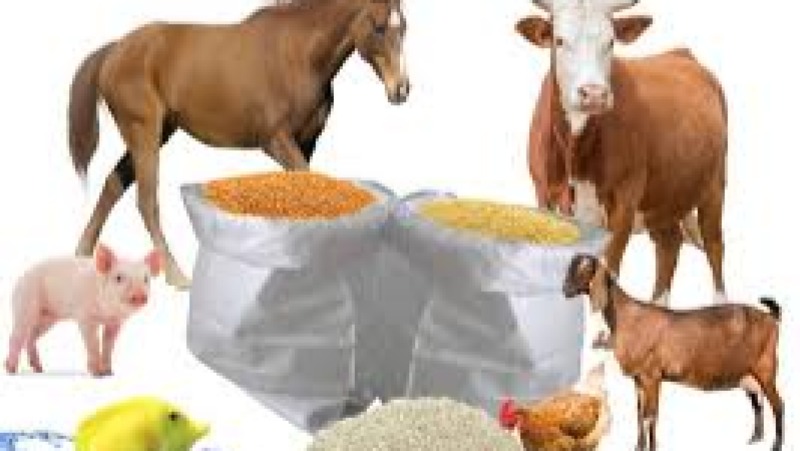 Livestock Feed Milling Operations Training Course