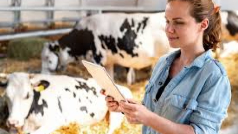 Livestock Health Risk Assessment Training Course
