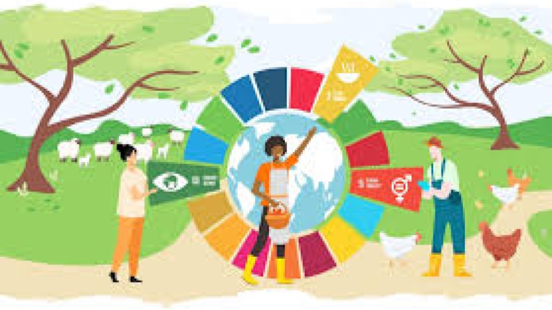 Mainstreaming Climate Action into Policy Training Course