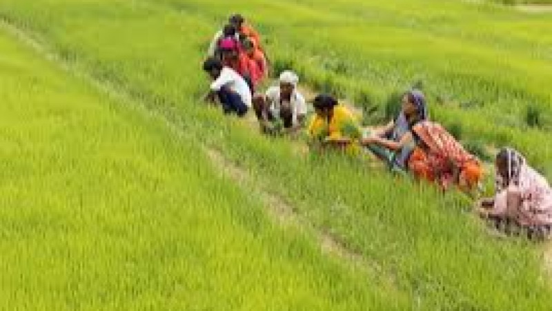Managing Food Loss and Waste from Farm to Fork Training course