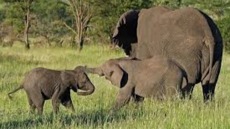 Managing Protected Areas in a Changing Climate Training Course