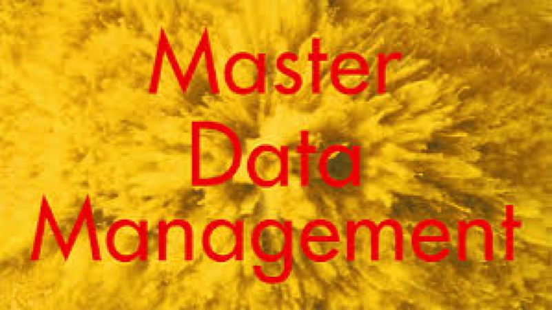 Master Data Management (MDM) for ERP Training Course