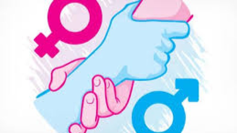 M&E of Gender Equality Programs Training Course