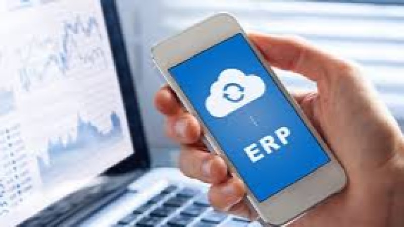 Mobile App Integration with ERP Systems Training Course