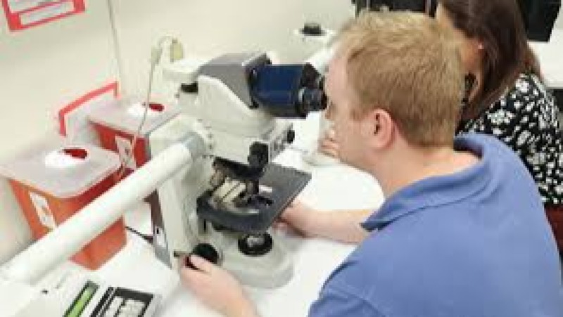 Molecular Techniques in Veterinary Research Training Course