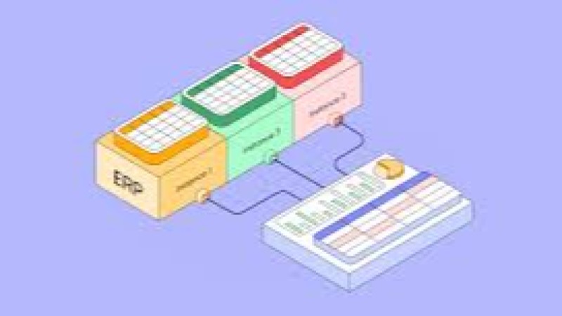 Multi-Entity and Global Consolidations in ERP Training Course