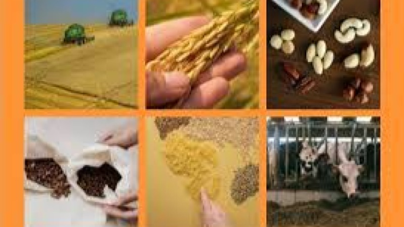 Mycotoxin and Fungal Contamination Control Training Course