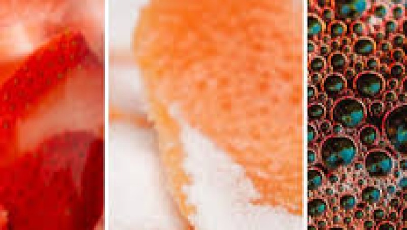 Natural Colors and Flavor Extraction Methods Training Course