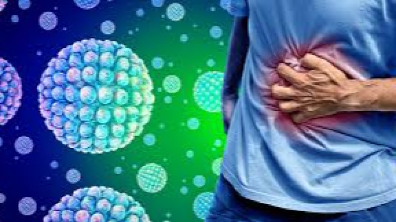 Norovirus and Viral Contamination Control Training Course