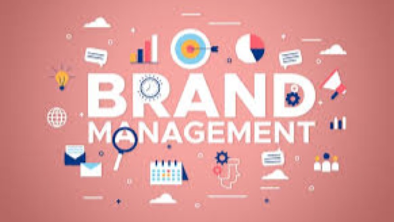 Online Brand Management Training Course