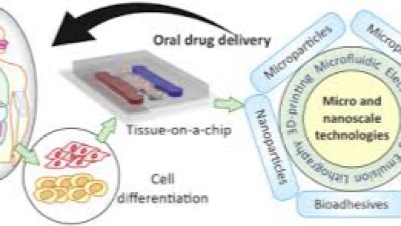 Oral Drug Delivery Technologies and Challenges Training Course