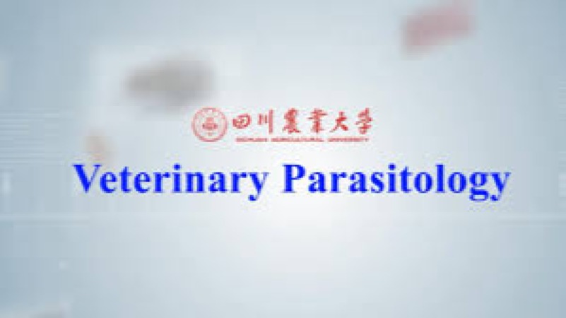 Parasitology in Veterinary Practice Training Course