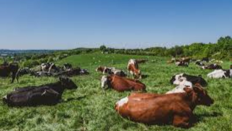 Pasture & Grazing Management Training Course