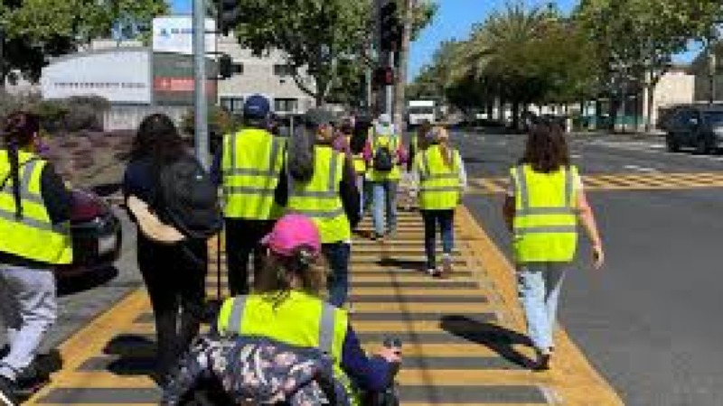 Pedestrianization Projects - Steps and Safety Training Course