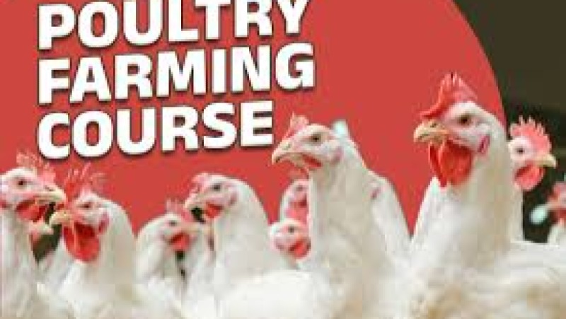 Poultry Production & Health Training Course