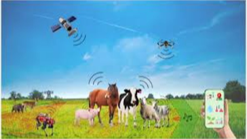 Precision Livestock Analytics Training Course