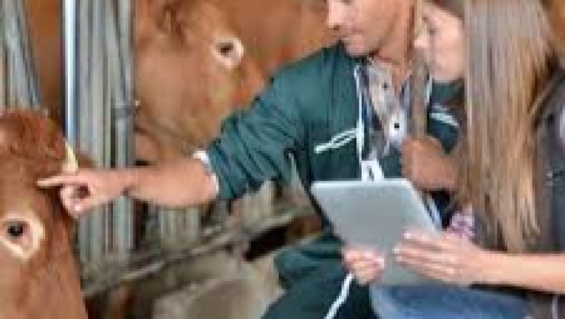 Project Management for Animal Health Training Course