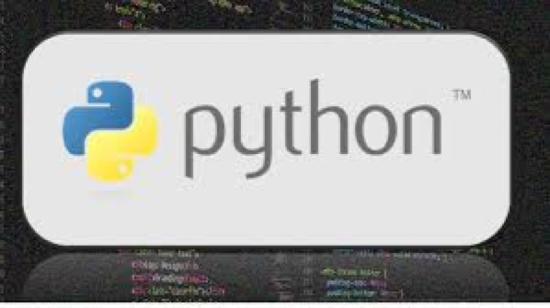 Python for ERP Automation Training Course