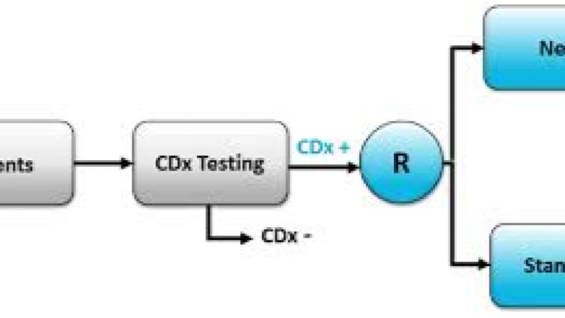 Regulatory Strategy for Companion Diagnostics Training Course