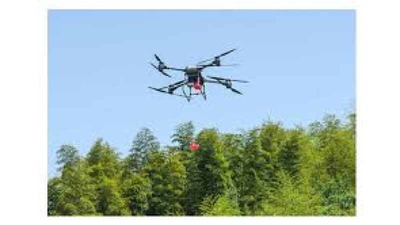 Remote Sensing for Environmental M&E Training Course